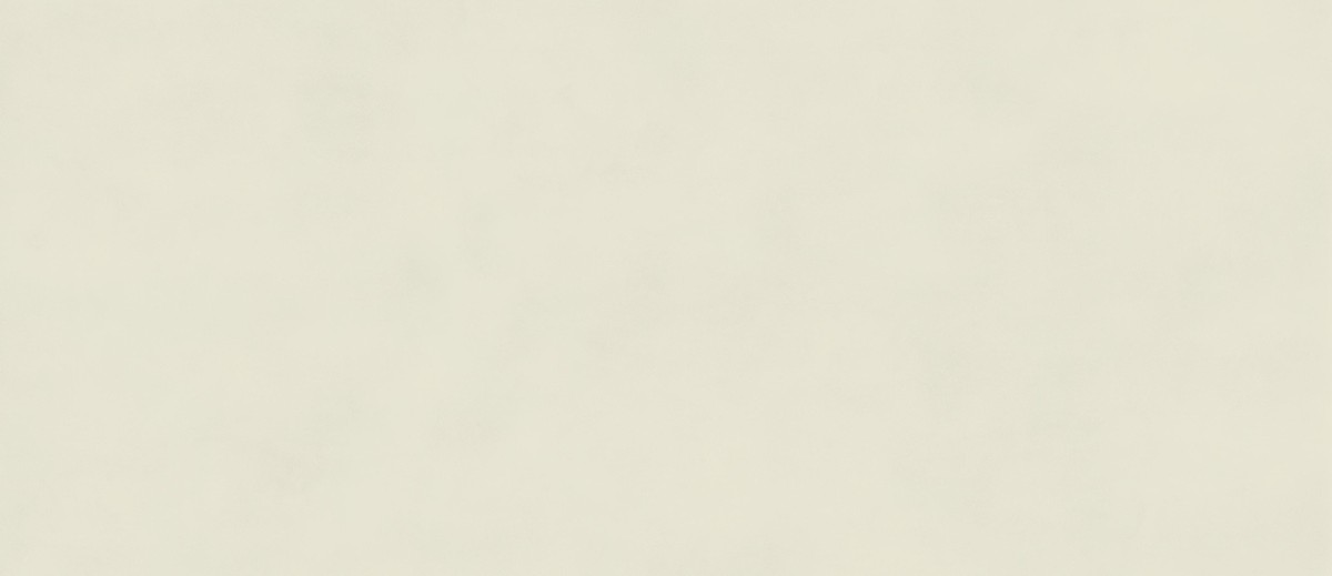 Boost Color Salix 120x278 - 6mm  